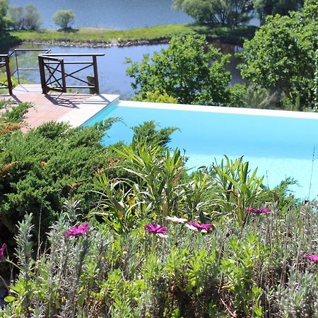 アマランテ "Bouca Drigues" Casa Antiga De Pedra Com Piscina E Vista Rioヴィラ エクステリア 写真