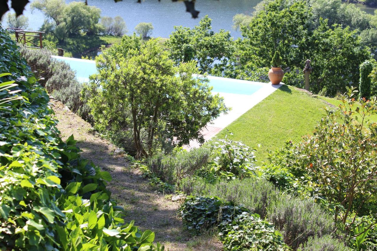 アマランテ "Bouca Drigues" Casa Antiga De Pedra Com Piscina E Vista Rioヴィラ エクステリア 写真