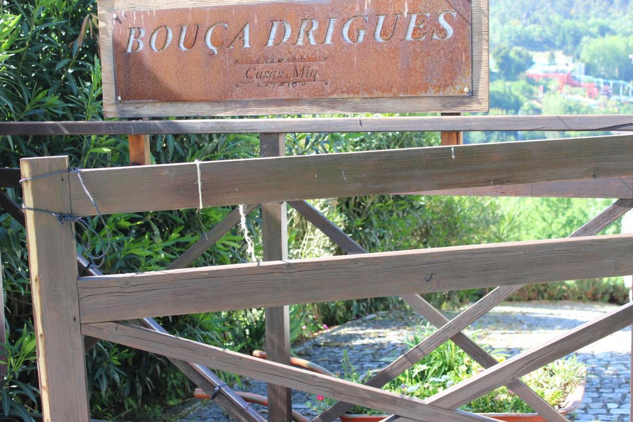 アマランテ "Bouca Drigues" Casa Antiga De Pedra Com Piscina E Vista Rioヴィラ エクステリア 写真