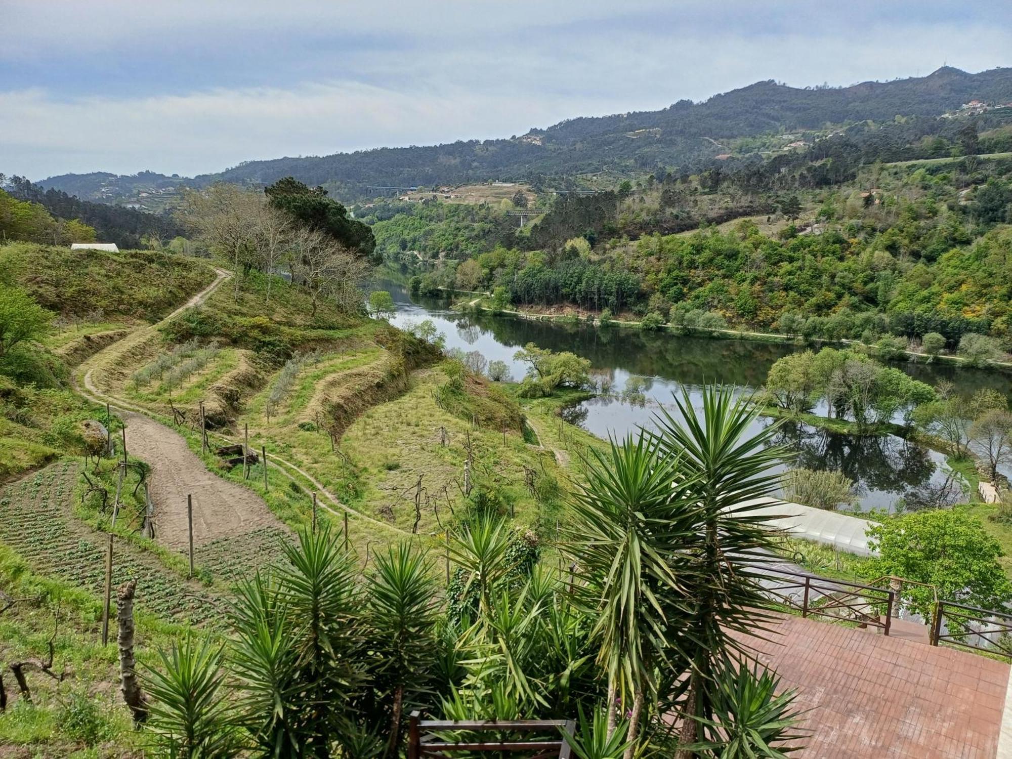 アマランテ "Bouca Drigues" Casa Antiga De Pedra Com Piscina E Vista Rioヴィラ エクステリア 写真