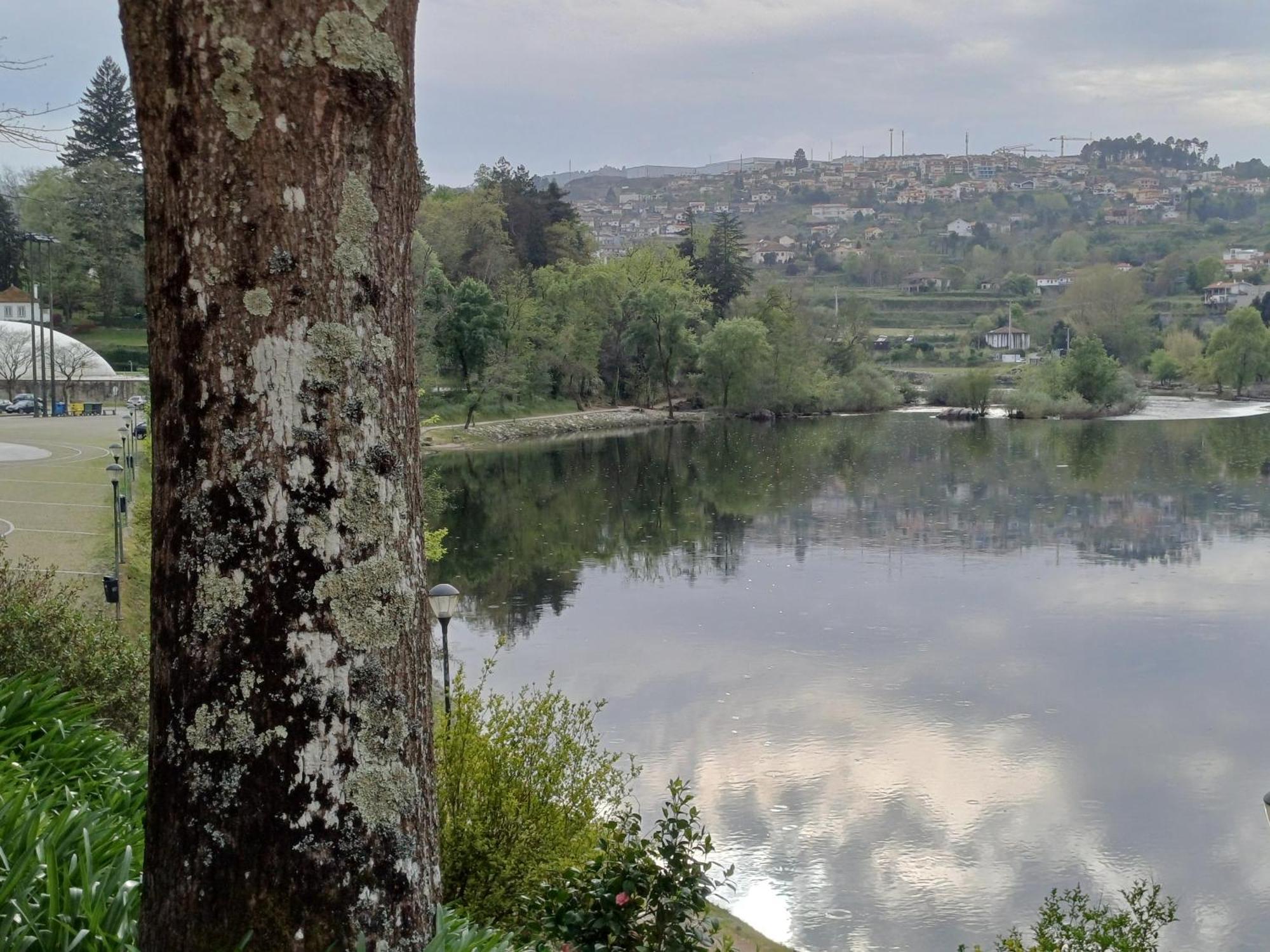アマランテ "Bouca Drigues" Casa Antiga De Pedra Com Piscina E Vista Rioヴィラ エクステリア 写真