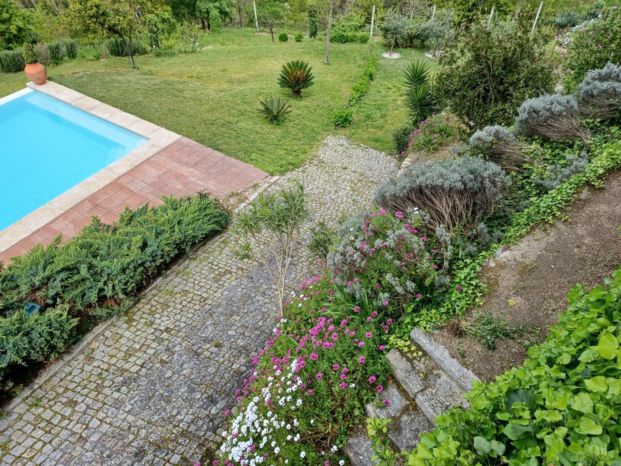 アマランテ "Bouca Drigues" Casa Antiga De Pedra Com Piscina E Vista Rioヴィラ エクステリア 写真